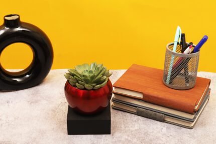Lotus Succulent Plant