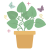 plant-pot